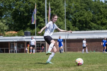 Bild 34 - wBJ VfL Pinneberg - Harksheide : Ergebnis: 2:1